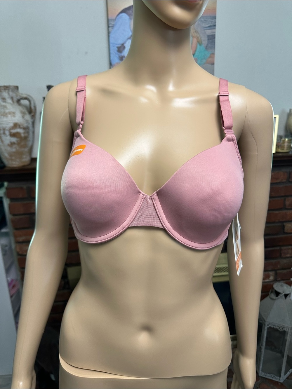 Flawed Warners Smoothing Bra- Light Pink